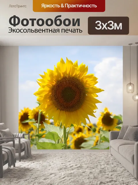 Фотообои Подсолнечник