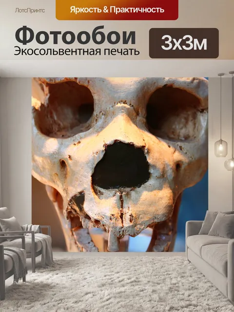 Фотообои Череп