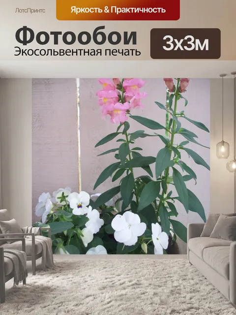 Фотообои Выращивание цветов в горшках