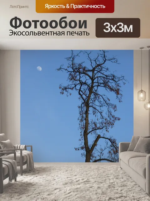 Фотообои Вуд