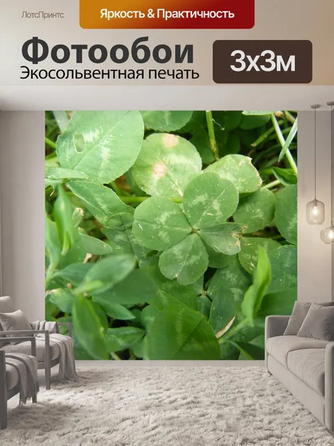 Фотообои Четырехлистный клевер