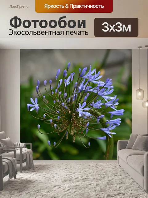 Фотообои Декоративный лук