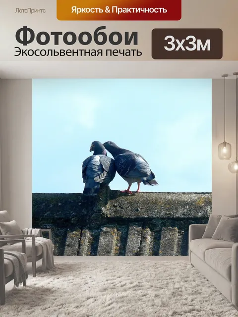 Фотообои Голуби