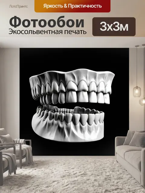 Фотообои изолированная модель нижней челюсти
