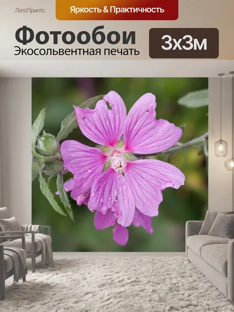 Фотообои Цветок