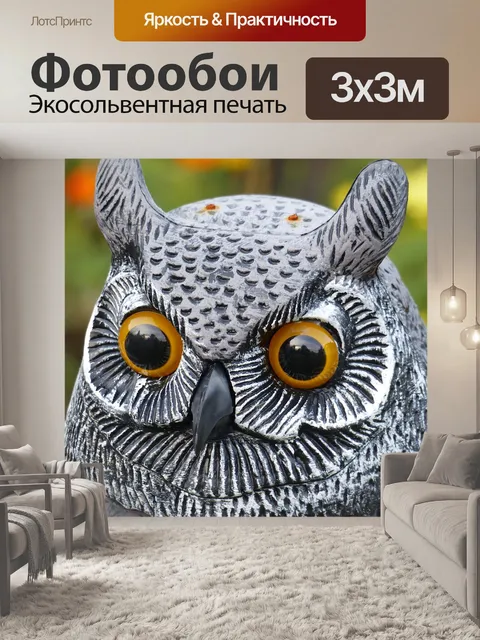 Фотообои Сова