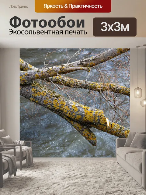 Фотообои Река