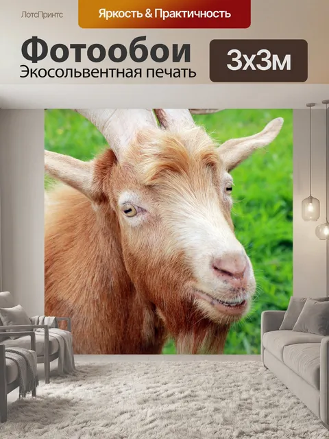 Фотообои Животное