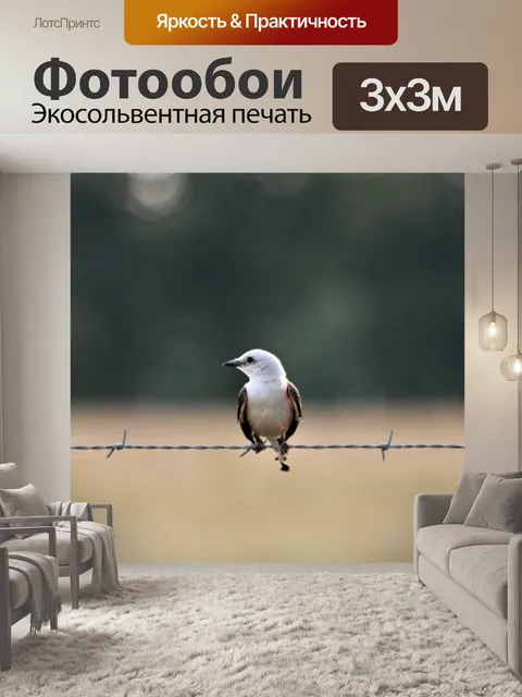 Фотообои Вертолетный мухоловщик на заборе
