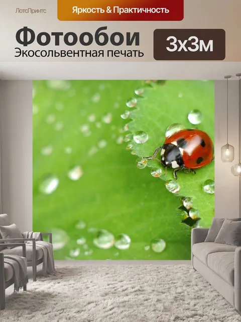 Фотообои Божья коровка на мокрый лист