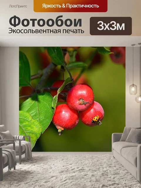 Фотообои Яблоко ягодный