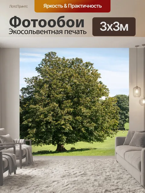 Фотообои Дерево Пейзаж в лето
