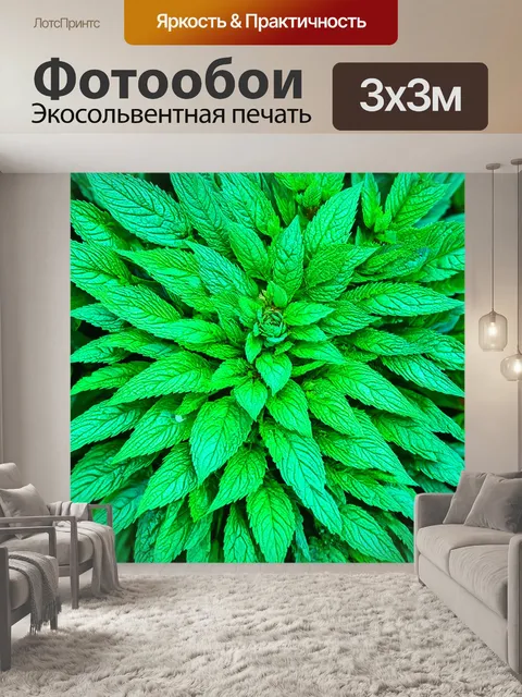 Фотообои чистый воздух наполнен ароматом розовой мяты