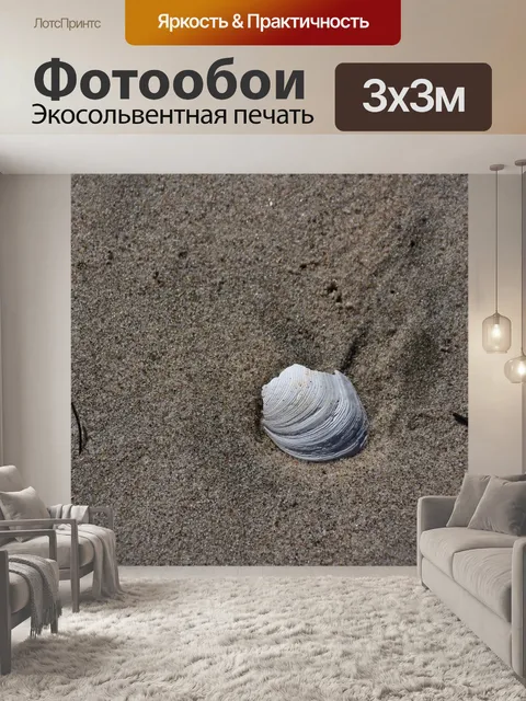 Фотообои Ракушка в пляжном песке
