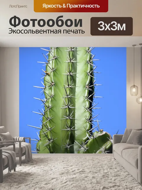 Фотообои Кактус завод