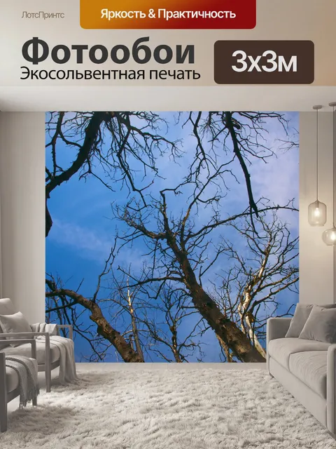 Фотообои Глядя вверх через деревьев