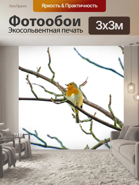 Фотообои Птица