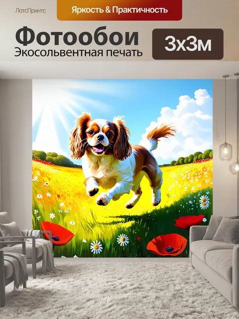 Фотообои изображение, где кавалер кинг чарльз спаниель, весело бегущий по цветочному полю, с яркими маками и ромашками