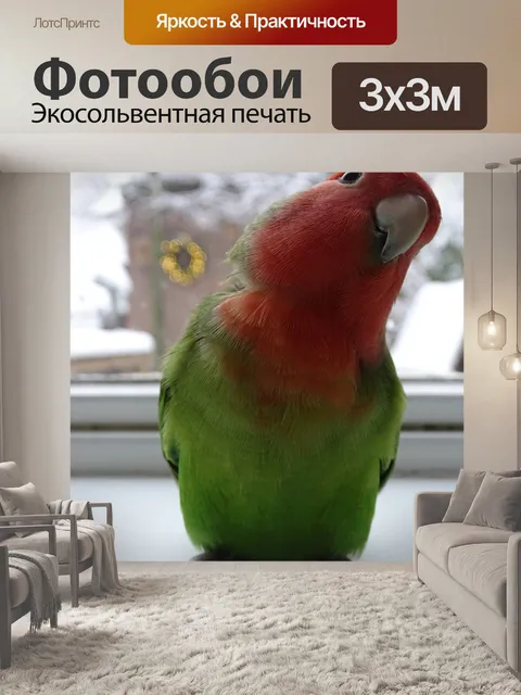 Фотообои Птицы