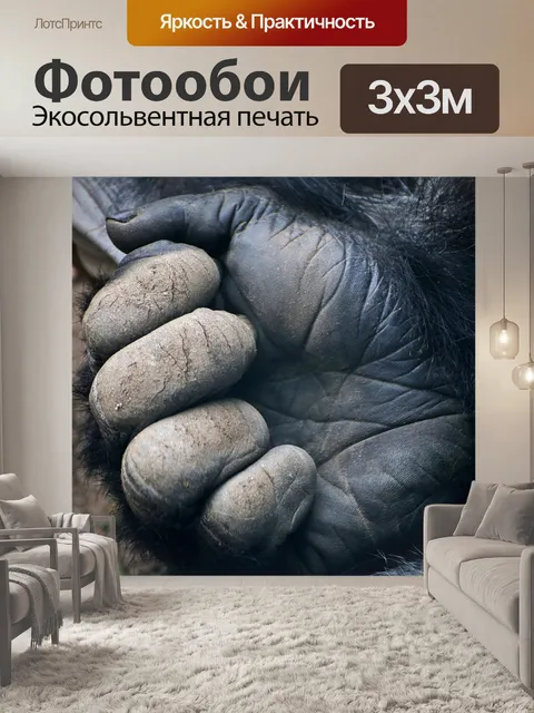Фотообои Горилла