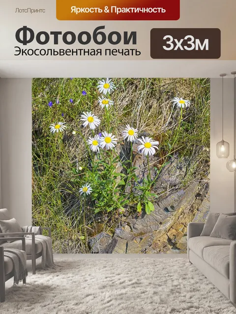 Фотообои Ромашка