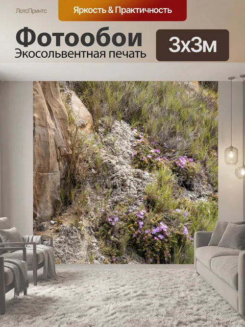 Фотообои полевые цветы на скале