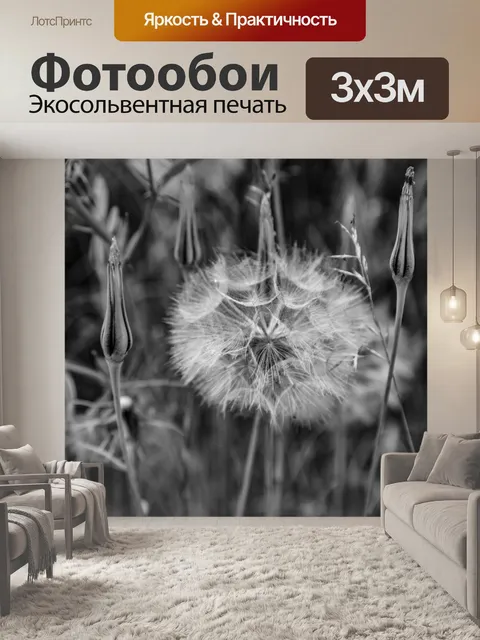 Фотообои одуванчик