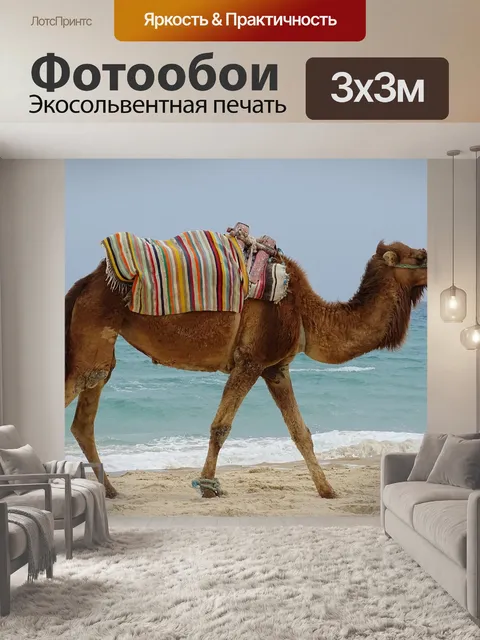 Фотообои Верблюд