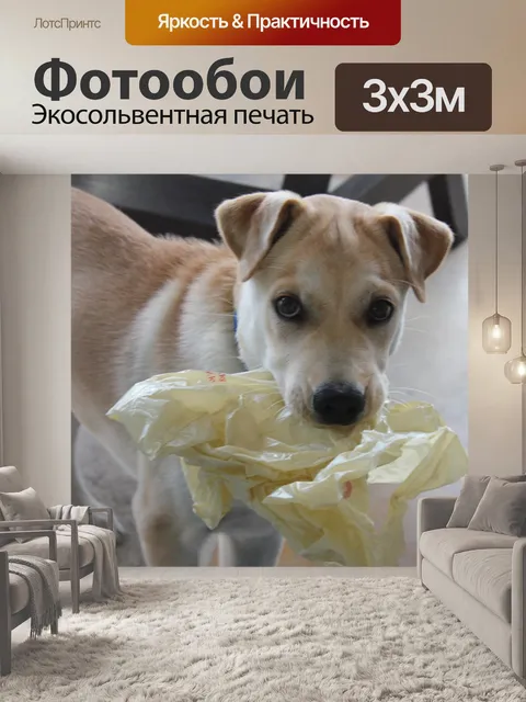 Фотообои Милый щенок