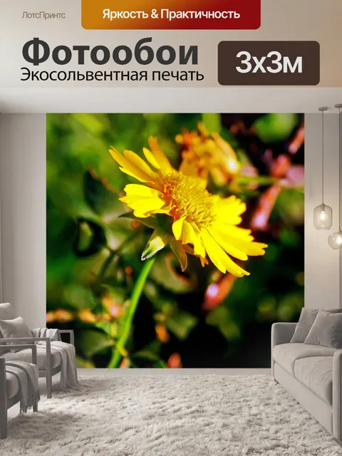 Фотообои цветок ромашка