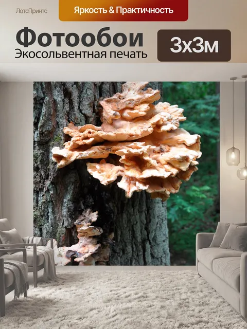 Фотообои Грибок паразита