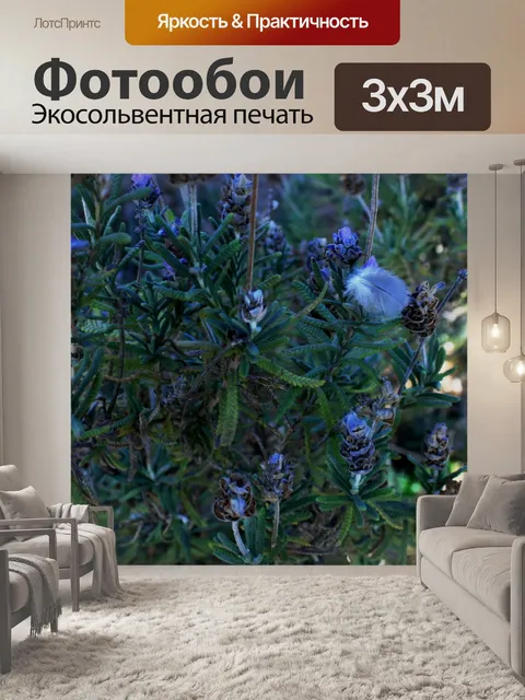 Фотообои Перо в кустах