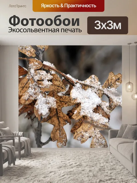 Фотообои Снег поцеловал Дуб Листья