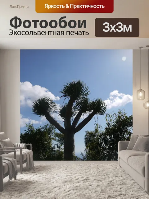 Фотообои Пальмовая лилия