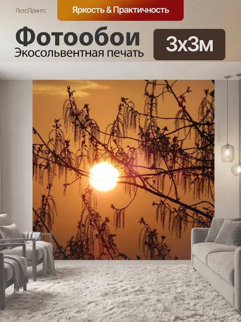 Фотообои Восход солнца