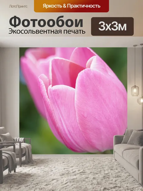 Фотообои Розовый тюльпан
