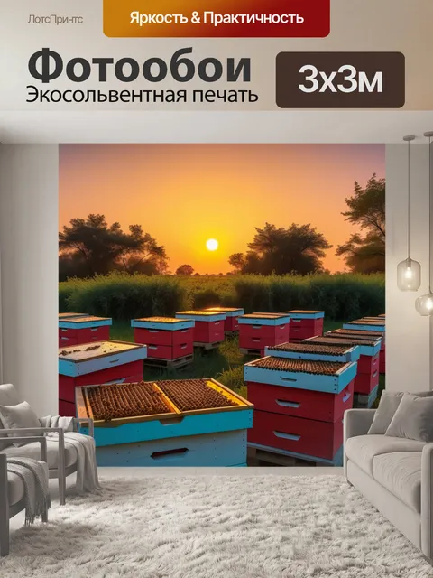 Фотообои пчела и улья на закате