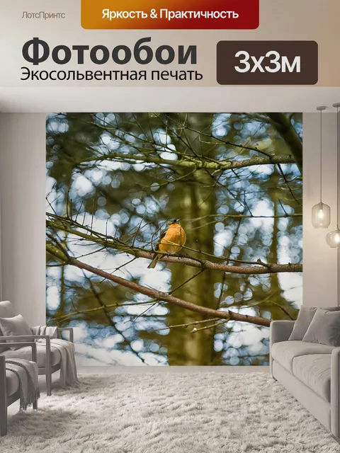 Фотообои Птица