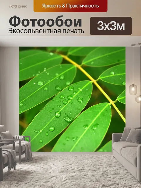 Фотообои Капля воды на листе