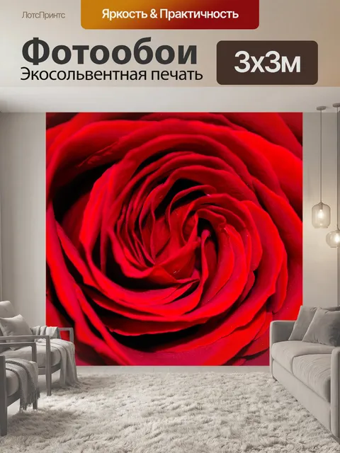 Фотообои Красная роза - фон