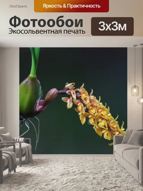 Фотообои Цветок