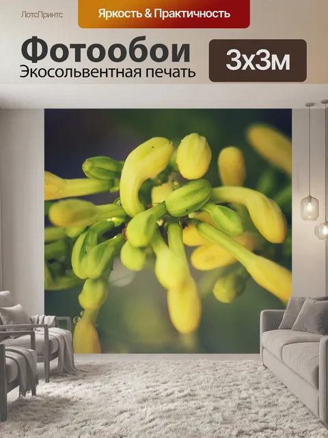 Фотообои Папайя