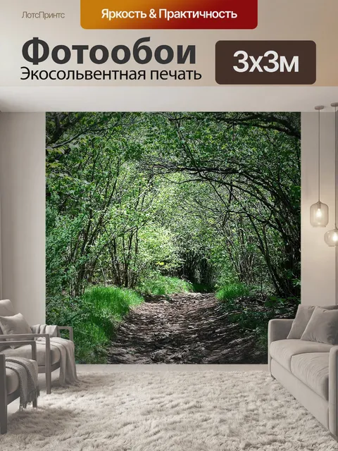 Фотообои Полый путь