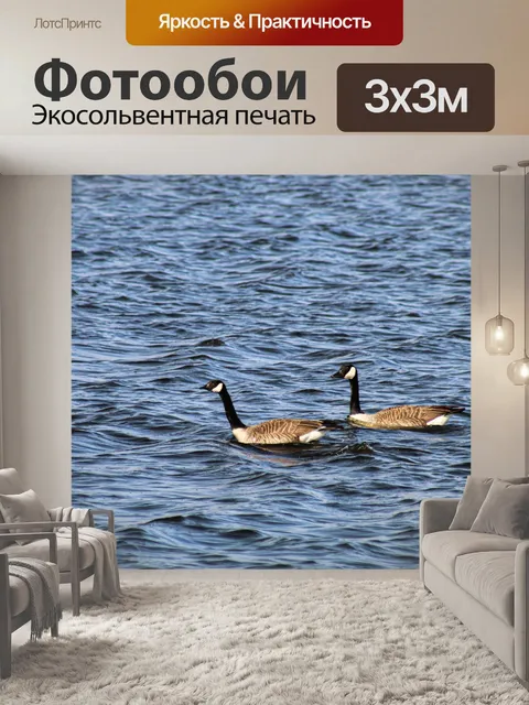 Фотообои Гуси