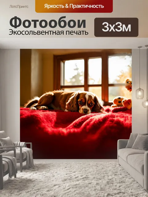 Фотообои собака, кавалер кинг чарльз спаниель, спокойно спит на красном пледе у окна, освещенном солнечными лучами