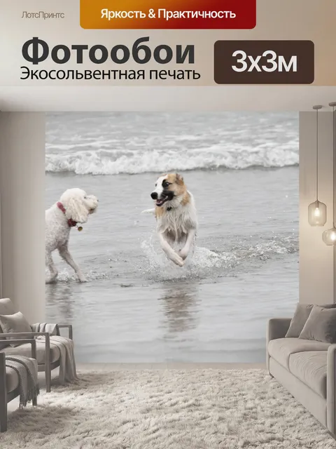 Фотообои Собаки играют на пляже Дог, Калифорния