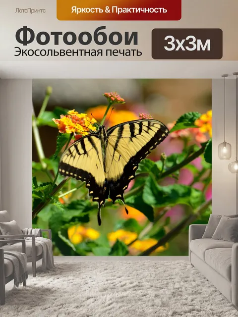 Фотообои Тигр Махаон Бабочка