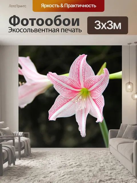Фотообои Лили