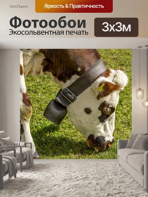 Фотообои Альпийская дойная корова