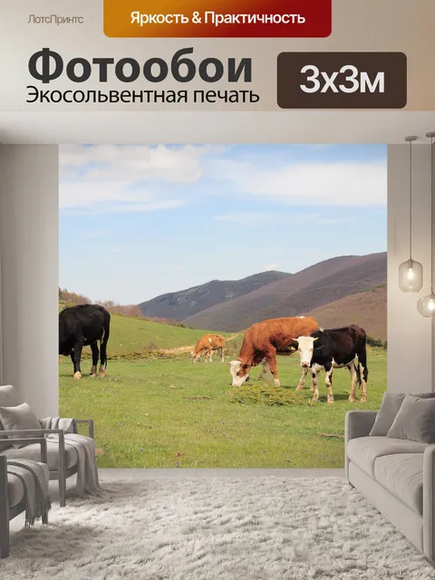 Фотообои Корова